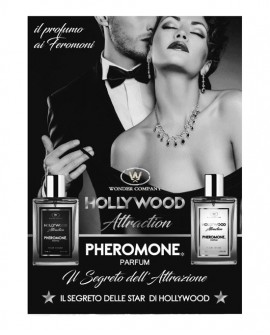 Cartello vetrina 70x100 Hollywood Attraction