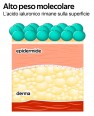 Crema viso Acido Ialuronico puro<p>Ultra-idratante Multi-molecolare WONDER COMPANY