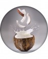 Hyaluronic Lip Balm Coconut <p>Lip Balm with Hyaluronic Acid  WONDER COMPANY