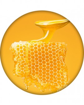 Hyaluronic Lip Balm Honey