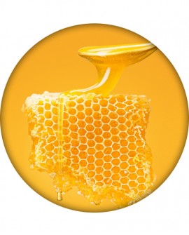 Hyaluronic Lip Balm Honey