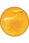 Hyaluronic Honey Lip Balm