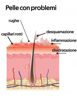 Kit viso e corpo al latte d'Asina