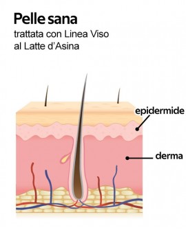 Siero Madre al Latte d'Asina Wonder Company