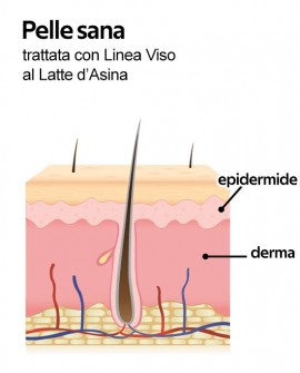 Siero Madre al Latte d'Asina<p>Riparatore , idratante, antiossidante e nutriente, 30 ml WONDER COMPANY