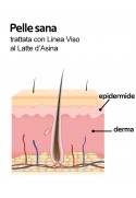 Siero Madre al Latte d'Asina Wonder Company