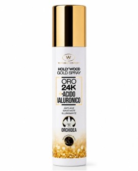 HOLLYWOOD GOLD SPRAY 24K colloidal gold face spray Wonder Company